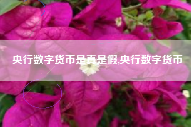 央行数字货币是真是假,央行数字货币