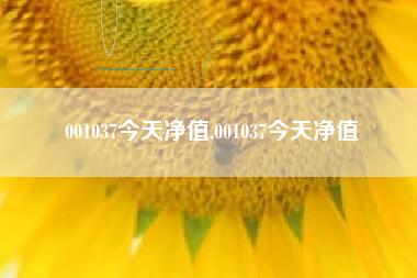 001037今天净值,001037今天净值