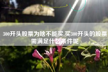 300开头股票为啥不能买,买300开头的股票需满足什么条件呢