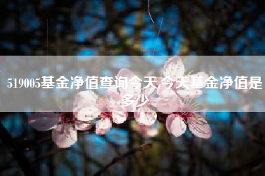 519005基金净值查询今天,今天基金净值是多少