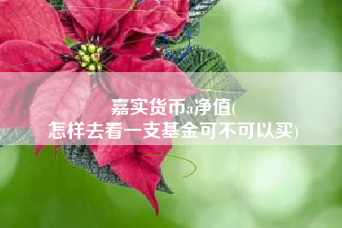 嘉实货币a净值(
怎样去看一支基金可不可以买)