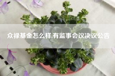 众禄基金怎么样,有监事会议决议公告