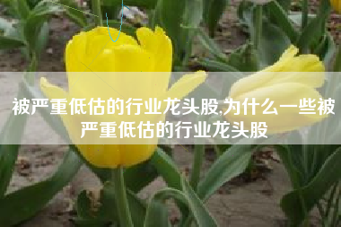 被严重低估的行业龙头股,为什么一些被严重低估的行业龙头股