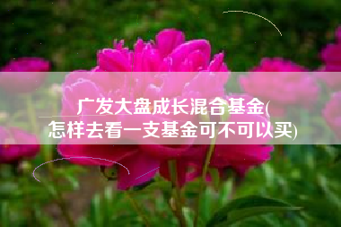广发大盘成长混合基金(
怎样去看一支基金可不可以买) 广发大盘成长混合基金(
怎样去看一支基金可不可以买)