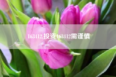 163412,投资163412需谨慎
