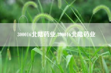 300016北陆药业,300016北陆药业