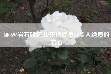 600696岩石股吧,快乐抄底员VS步入绝境的岩石