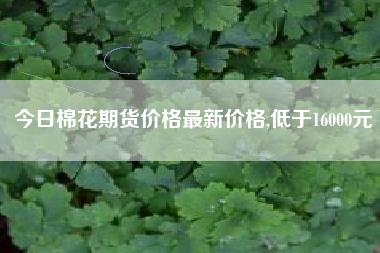 今日棉花期货价格最新价格,低于16000元