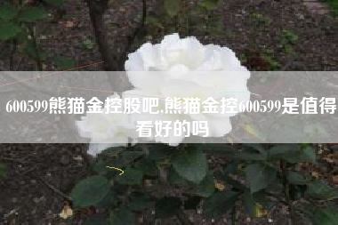 600599熊猫金控股吧,熊猫金控600599是值得看好的吗