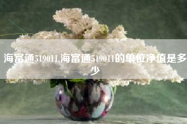 海富通519011,海富通519011的单位净值是多少