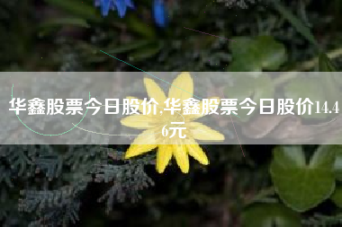 华鑫股票今日股价,华鑫股票今日股价14.46元