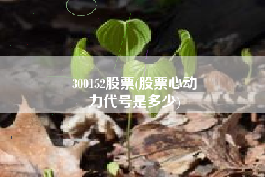 300152股票(股票心动
力代号是多少) 300152股票(股票心动
力代号是多少)