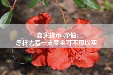 嘉实货币a净值(
怎样去看一支基金可不可以买)