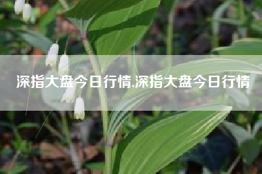 深指大盘今日行情,深指大盘今日行情