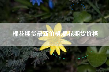棉花期货最新价格,棉花期货价格
