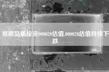 景顺品质投资000020估值,000020估值持续下跌