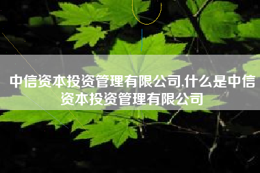中信资本投资管理有限公司,什么是中信资本投资管理有限公司