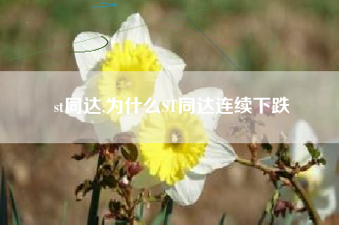 st同达,为什么ST同达连续下跌