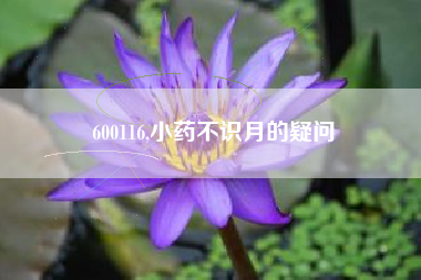 600116,小药不识月的疑问