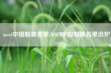 msci中国股票名单,MSCI中国股票名单出炉
