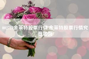 002723金莱特股票行情,金莱特股票行情究竟如何