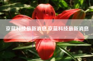 京蓝科技最新消息,京蓝科技最新消息