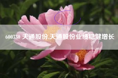 600330 天通股份,天通股份业绩稳健增长