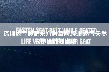 深圳燃气股吧东方财富网,深圳燃气天然气掺氢计划出炉