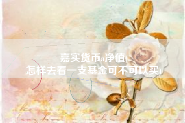 嘉实货币a净值(
怎样去看一支基金可不可以买)