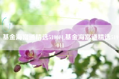 基金海富通精选519011,基金海富通精选519011