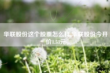 华联股份这个股票怎么样,华联股份今开价1.53元