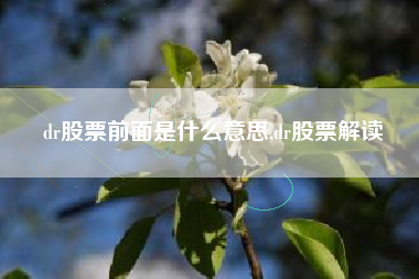 dr股票前面是什么意思,dr股票解读