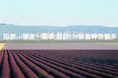 指数etf基金一览表,指数ETF基金种类繁多