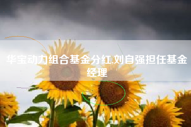 华宝动力组合基金分红,刘自强担任基金经理