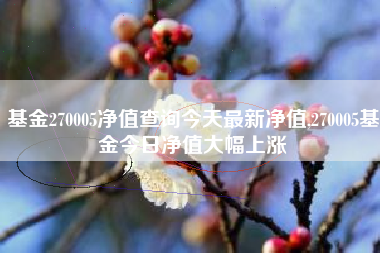 基金270005净值查询今天最新净值,270005基金今日净值大幅上涨