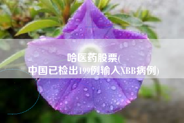 哈医药股票(
中国已检出199例输入XBB病例)