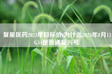复星医药2023年目标价(为什么2023年8月13G34是普通复兴号
) 复星医药2023年目标价(为什么2023年8月13G34是普通复兴号
)