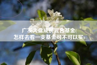 广发大盘成长混合基金(
怎样去看一支基金可不可以买) 广发大盘成长混合基金(
怎样去看一支基金可不可以买)