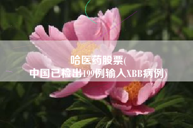 哈医药股票(
中国已检出199例输入XBB病例)