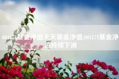 001171基金净值天天基金净值,001171基金净值持续下滑