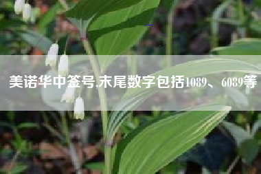 美诺华中签号,末尾数字包括1089、6089等