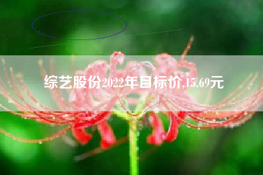 综艺股份2022年目标价,15.69元