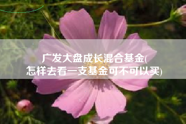 广发大盘成长混合基金(
怎样去看一支基金可不可以买) 广发大盘成长混合基金(
怎样去看一支基金可不可以买)