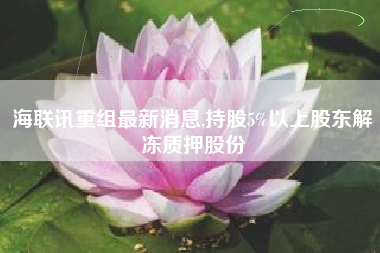 海联讯重组最新消息,持股5%以上股东解冻质押股份