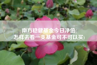 南方稳健基金今日净值(
怎样去看一支基金可不可以买)