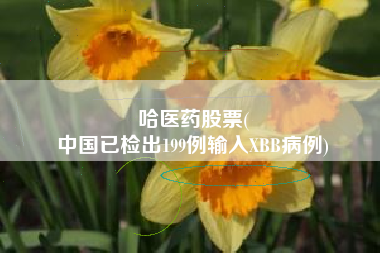 哈医药股票(
中国已检出199例输入XBB病例)