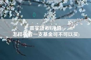 嘉实货币a净值(
怎样去看一支基金可不可以买)