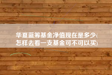 华夏蓝筹基金净值现在是多少(
怎样去看一支基金可不可以买)