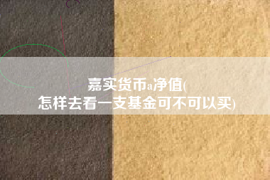 嘉实货币a净值(
怎样去看一支基金可不可以买)