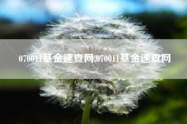 070011基金速查网,070011基金速查网